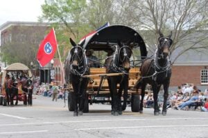 Mule-drawn covered wagon in the Mule Day 2025 parade, Columbia, TN
