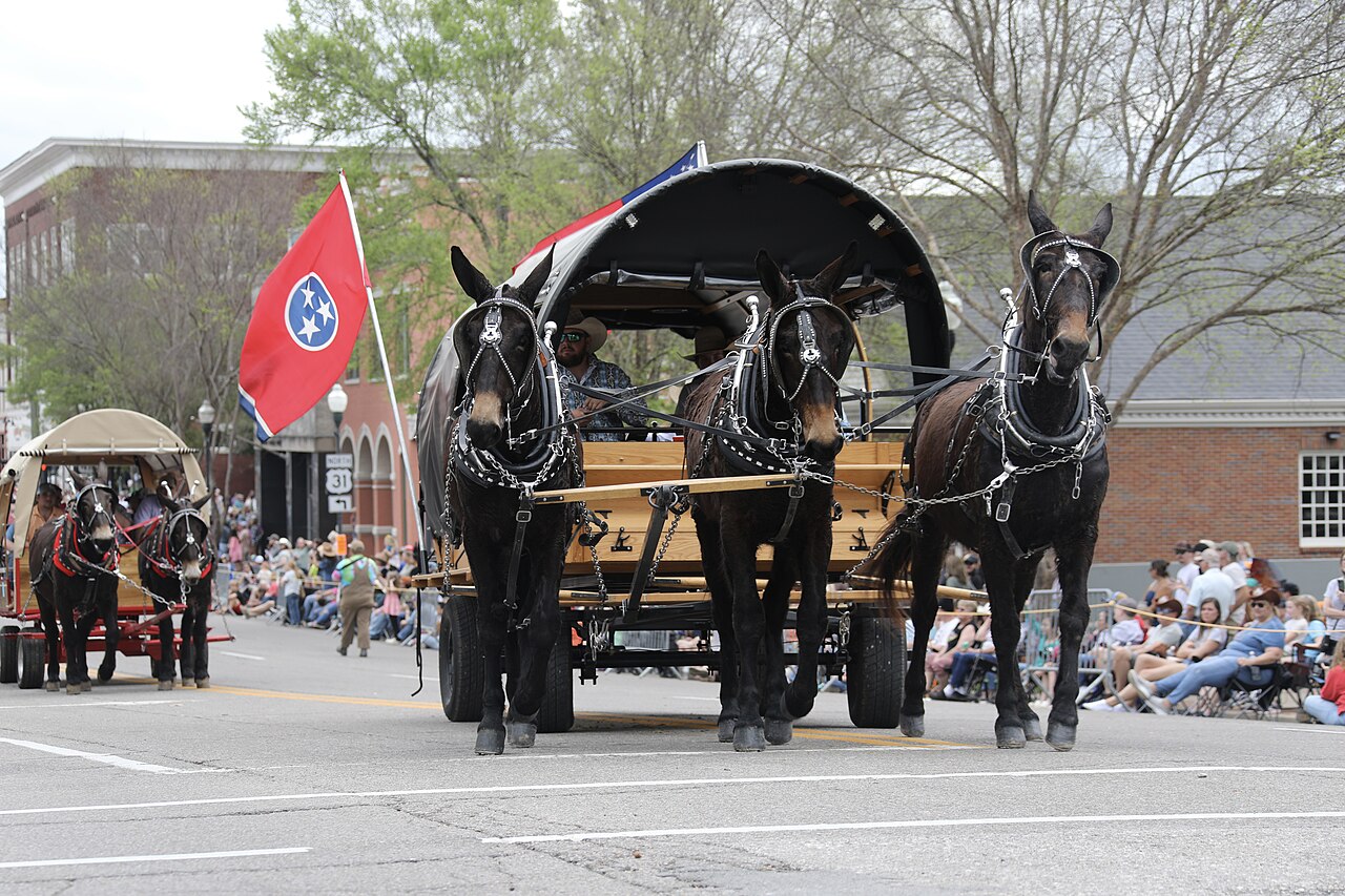 Things to Do in Columbia, TN This Weekend